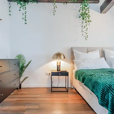 City-vibes & Altstadtflair In Der Fussgaengerzone Mit Parkplatz Und Office * Braunschweig
