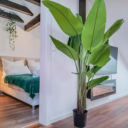 Apartamento Altstadtflair In Der Fussgaengerzone Mit Parkplatz Und Office *